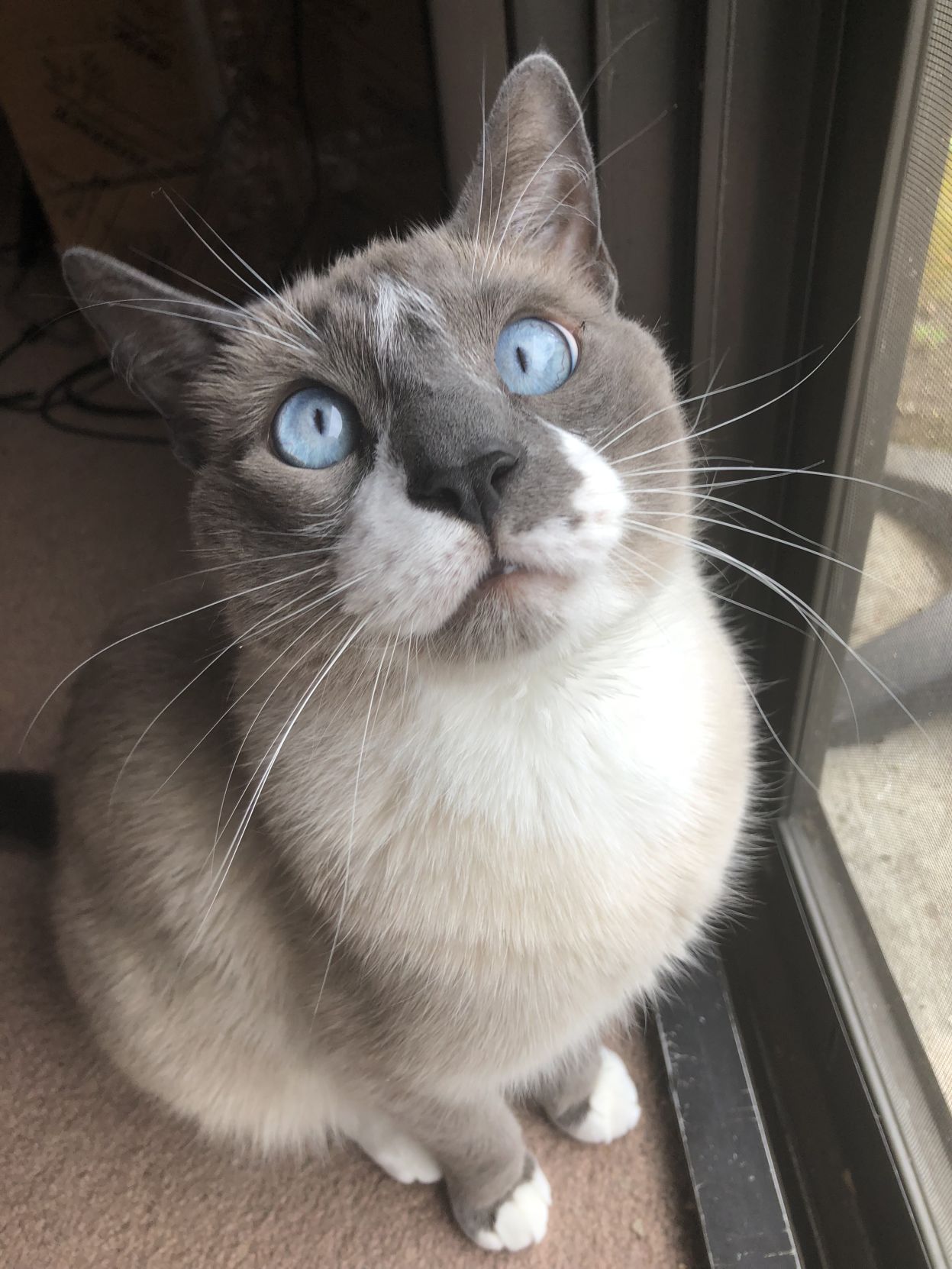 Kit